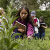 An image of a student examining a plant outside