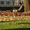 20201109_Fall_Stock_022.JPG