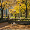 An aerial view of O'Connor Plaza on Main Campus in the fall