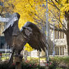 The Temple Owl statue in O'Connor Plaza on a sunny day