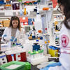 Two medical students performing research in a lab