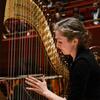 A Boyer College of Music and Dance student plays the harp during rehearsal.