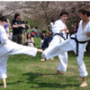 Sakura%20Sunday_0.png